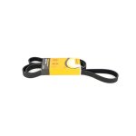 Curea accesorii Logan 1 - 1.6 16v CONTITECH